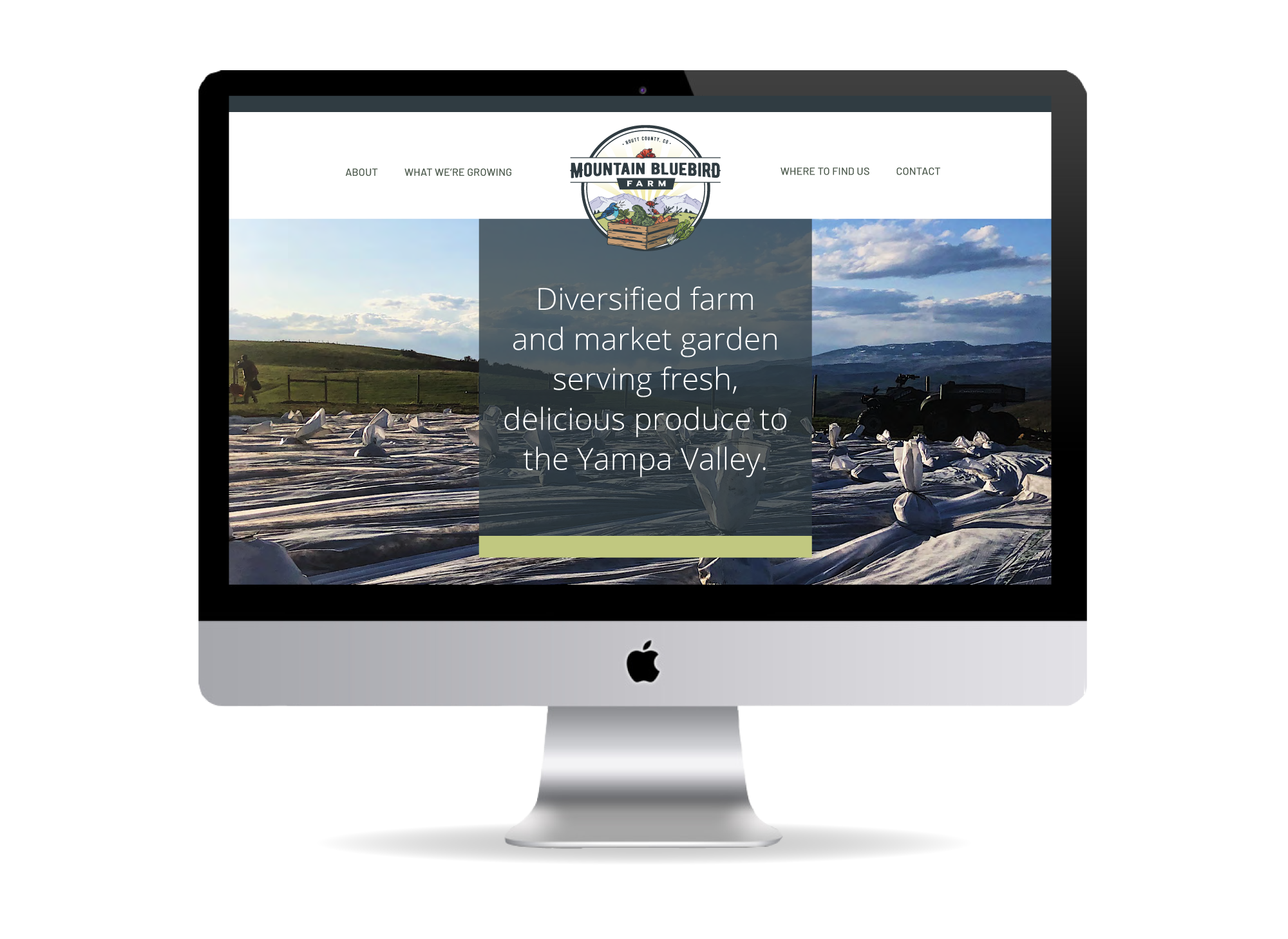 MT Trout website design<br />
